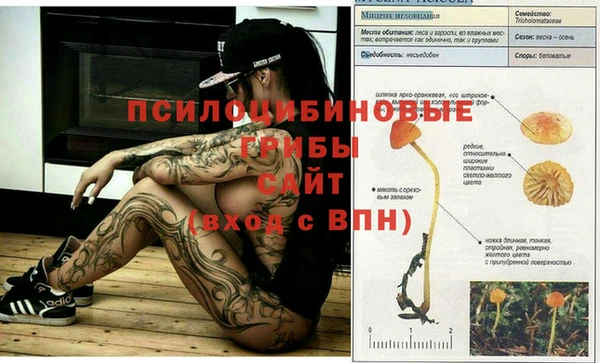 2c-b Кодинск