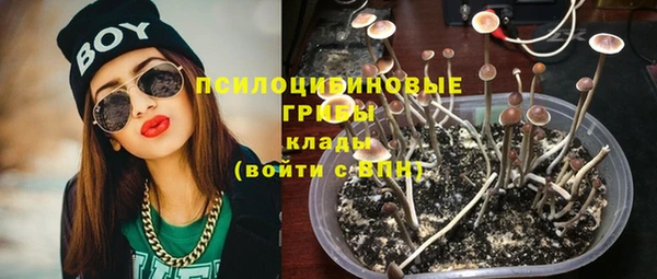 2c-b Кодинск